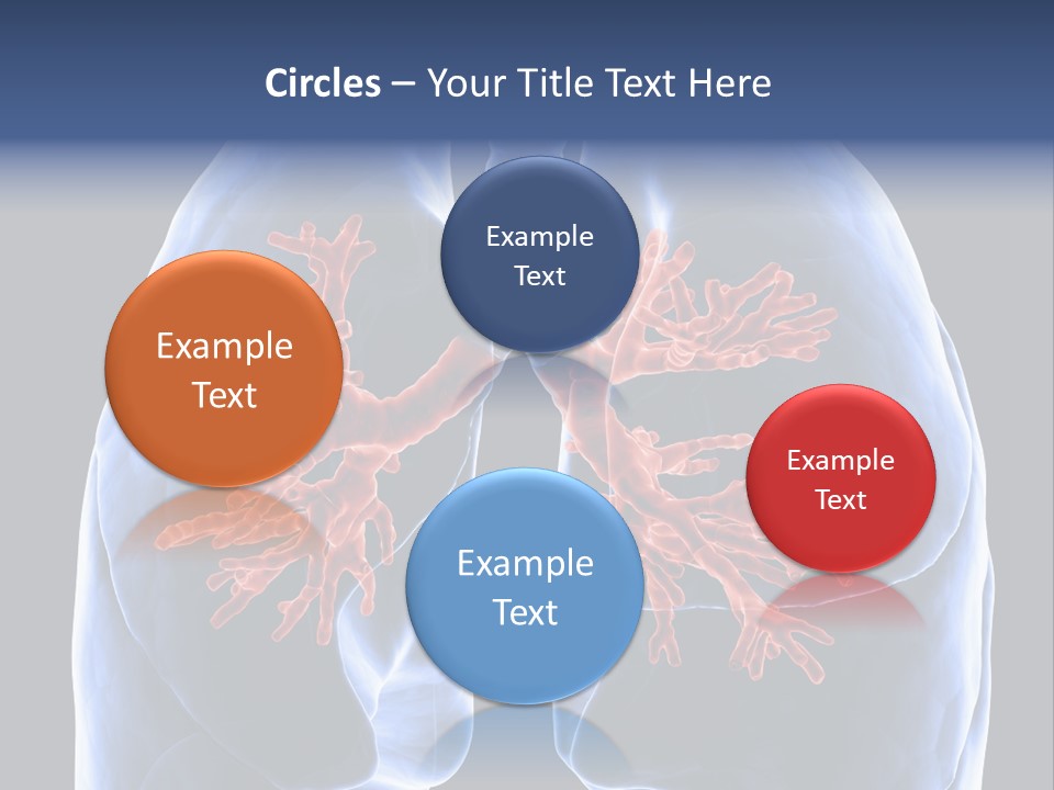 Background Physiology Man PowerPoint Template