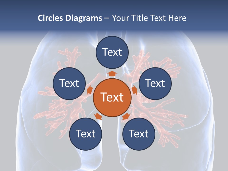 Background Physiology Man PowerPoint Template