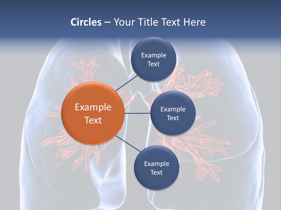 Background Physiology Man PowerPoint Template