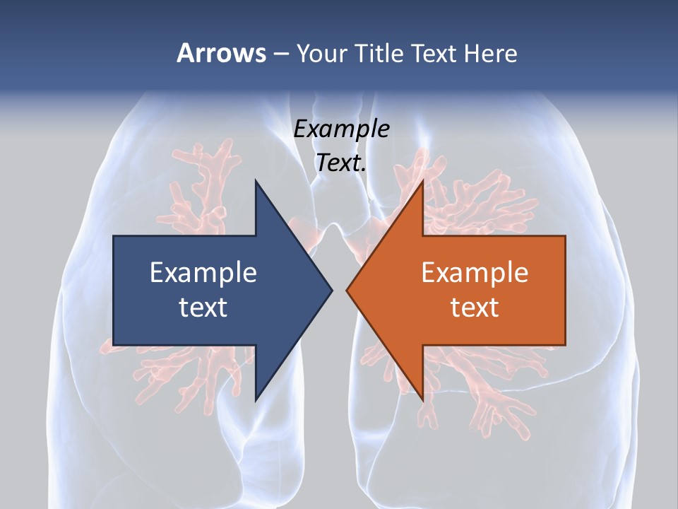 Background Physiology Man PowerPoint Template