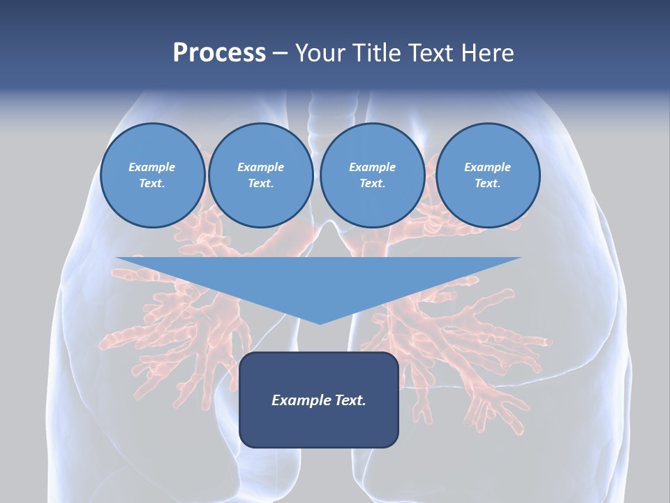 Background Physiology Man PowerPoint Template