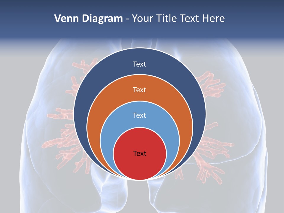 Background Physiology Man PowerPoint Template