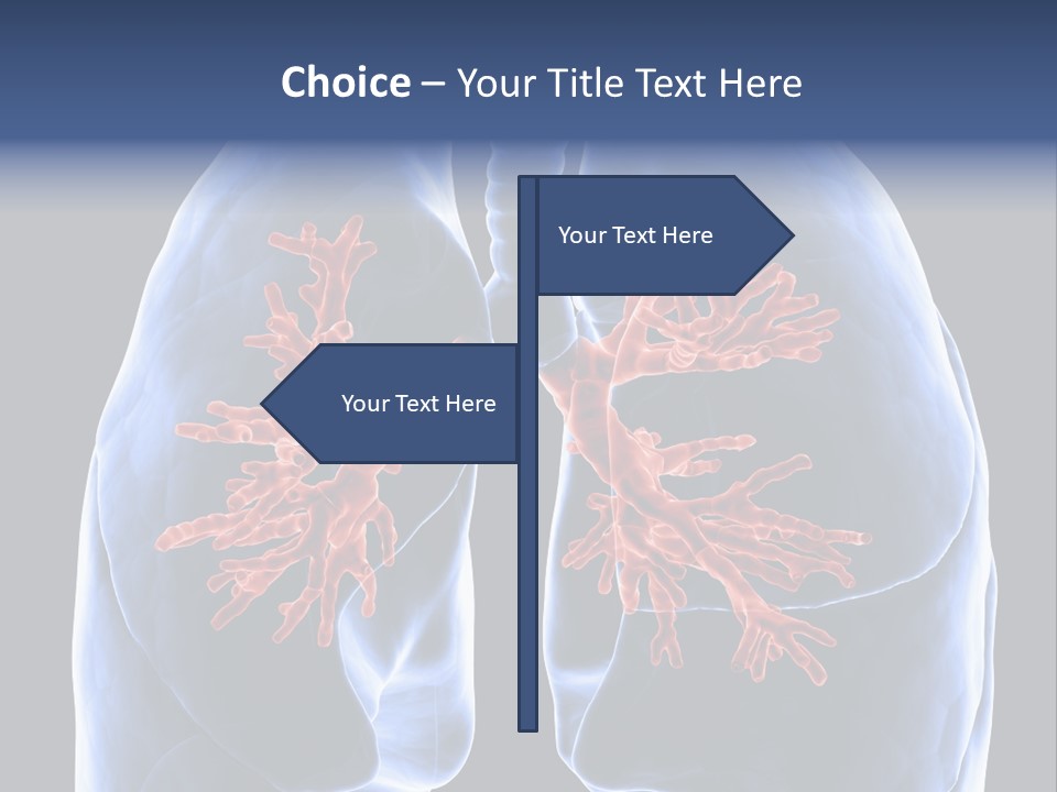 Background Physiology Man PowerPoint Template