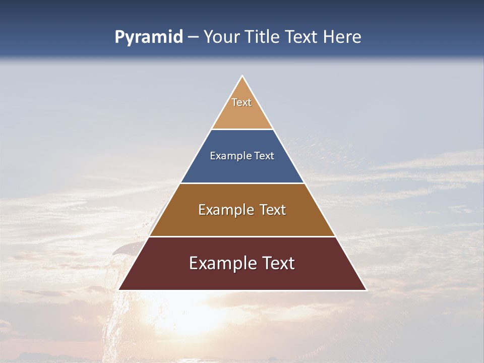 Conch Sky Animal PowerPoint Template