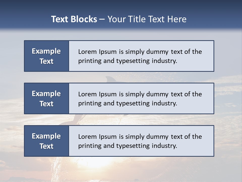 Conch Sky Animal PowerPoint Template