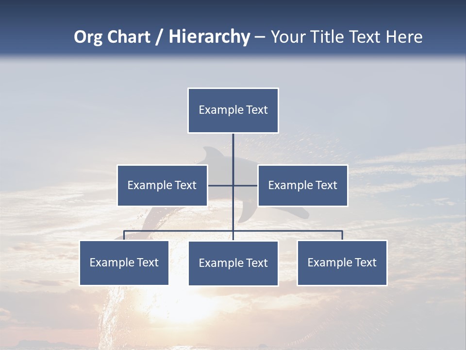 Conch Sky Animal PowerPoint Template