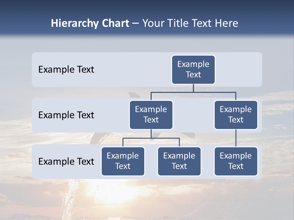 Conch Sky Animal PowerPoint Template