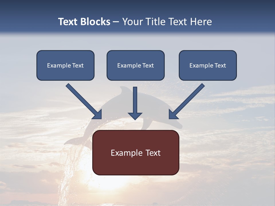 Conch Sky Animal PowerPoint Template