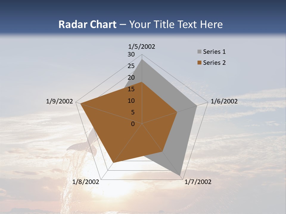 Conch Sky Animal PowerPoint Template