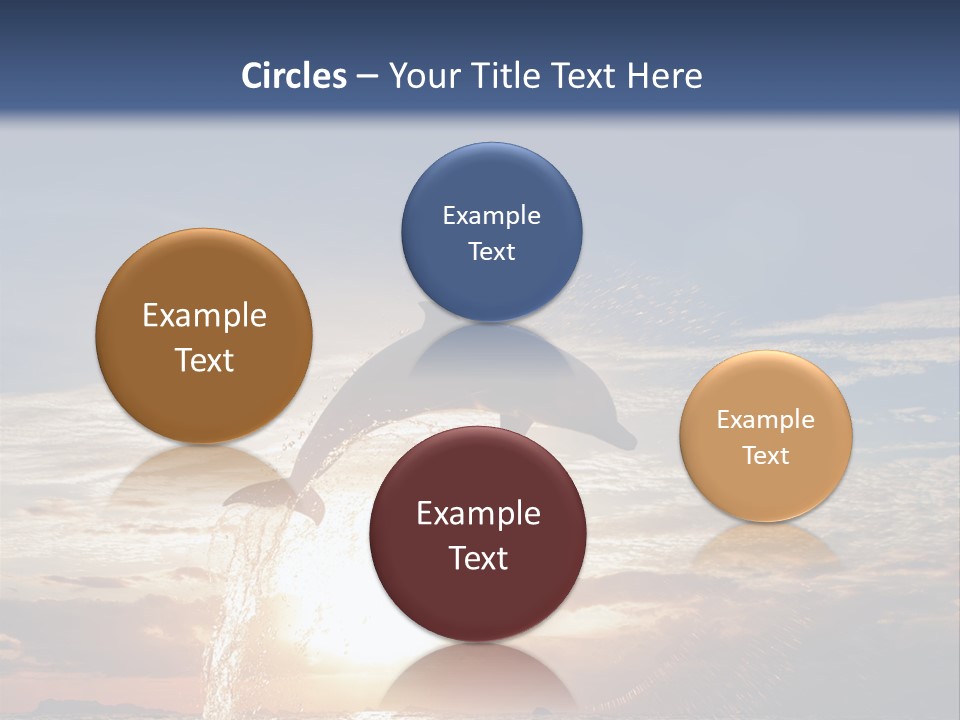 Conch Sky Animal PowerPoint Template