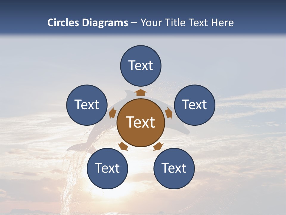 Conch Sky Animal PowerPoint Template