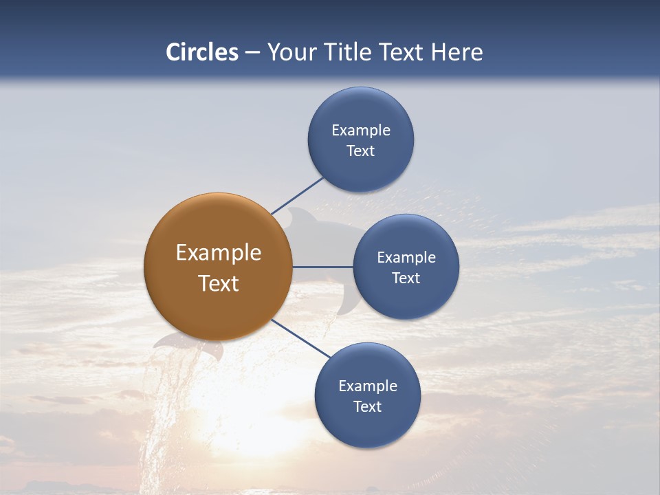 Conch Sky Animal PowerPoint Template