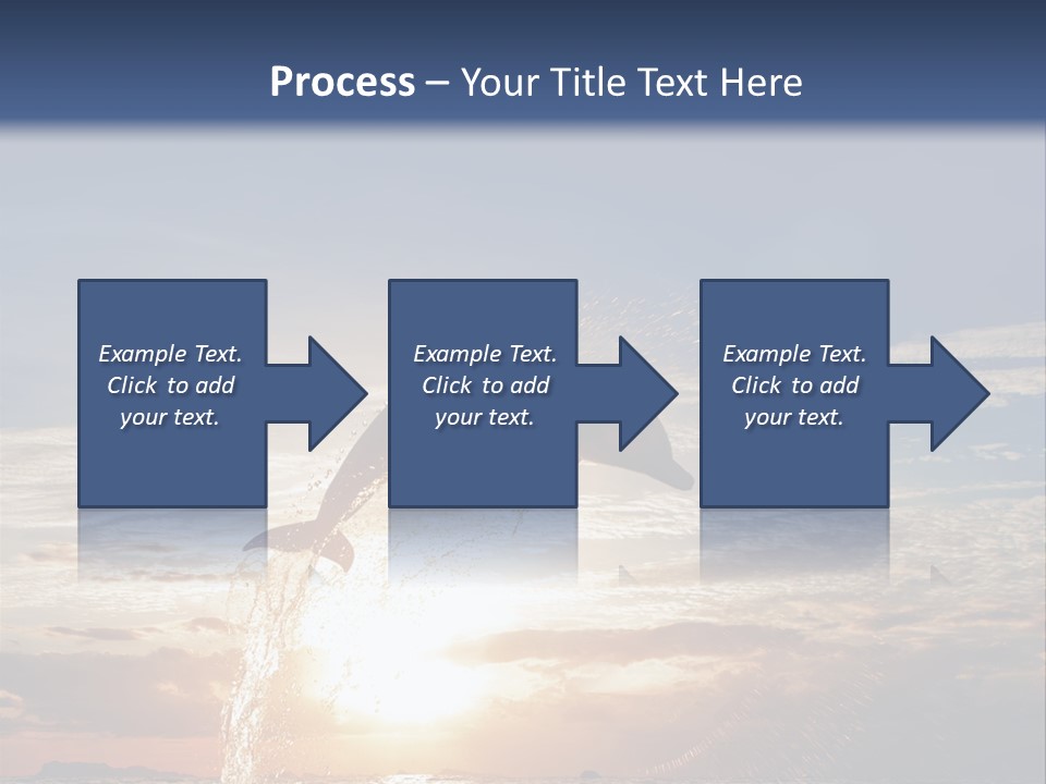 Conch Sky Animal PowerPoint Template