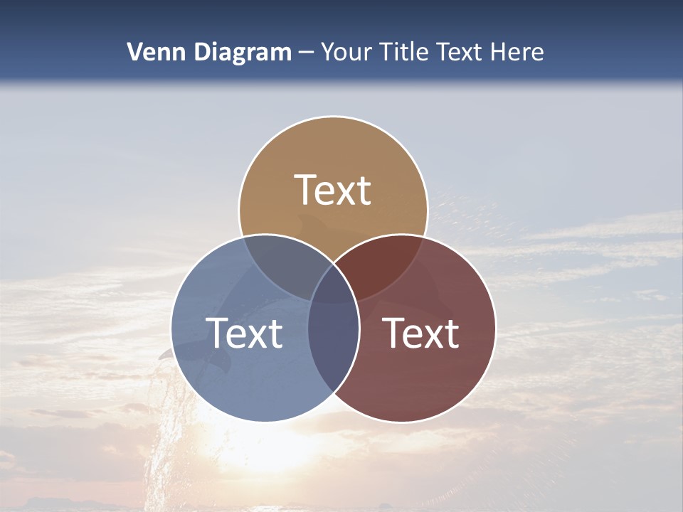 Conch Sky Animal PowerPoint Template