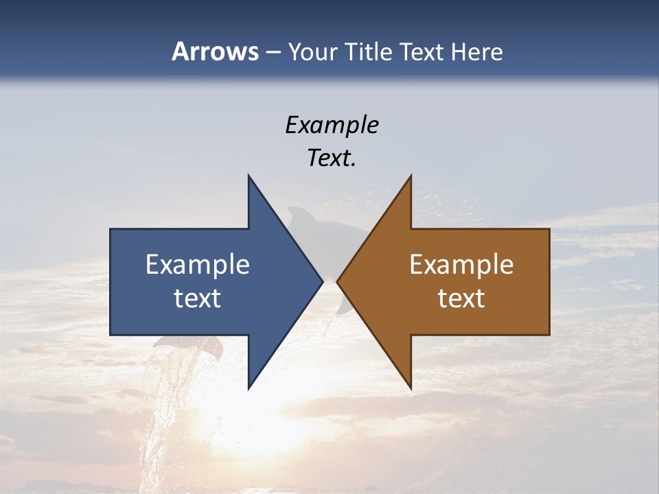 Conch Sky Animal PowerPoint Template