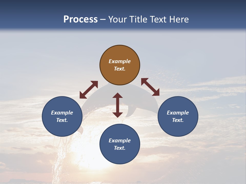 Conch Sky Animal PowerPoint Template