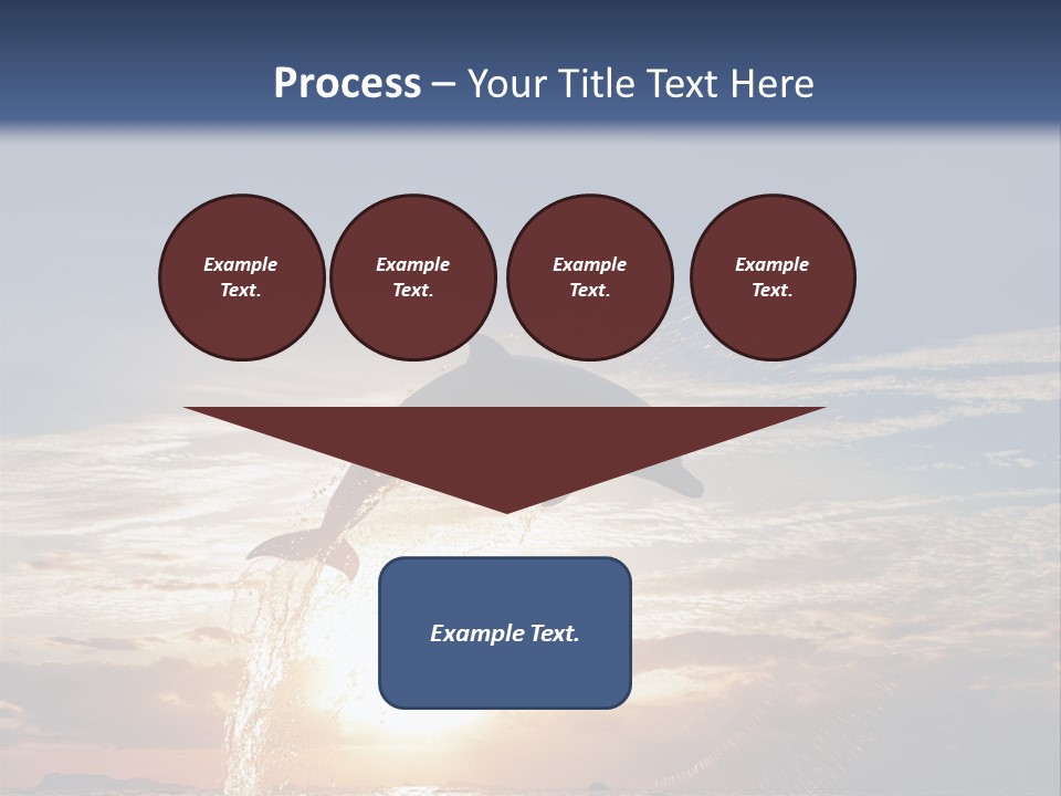 Conch Sky Animal PowerPoint Template