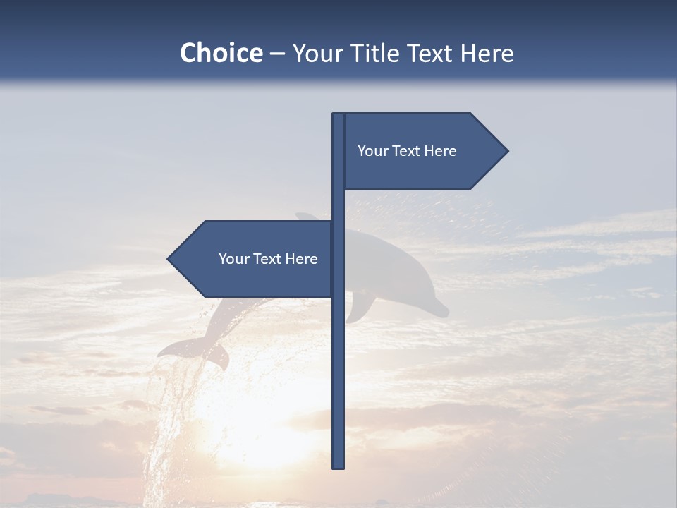 Conch Sky Animal PowerPoint Template