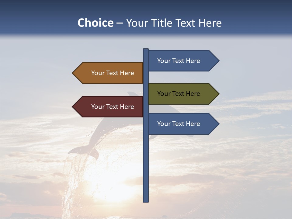 Conch Sky Animal PowerPoint Template