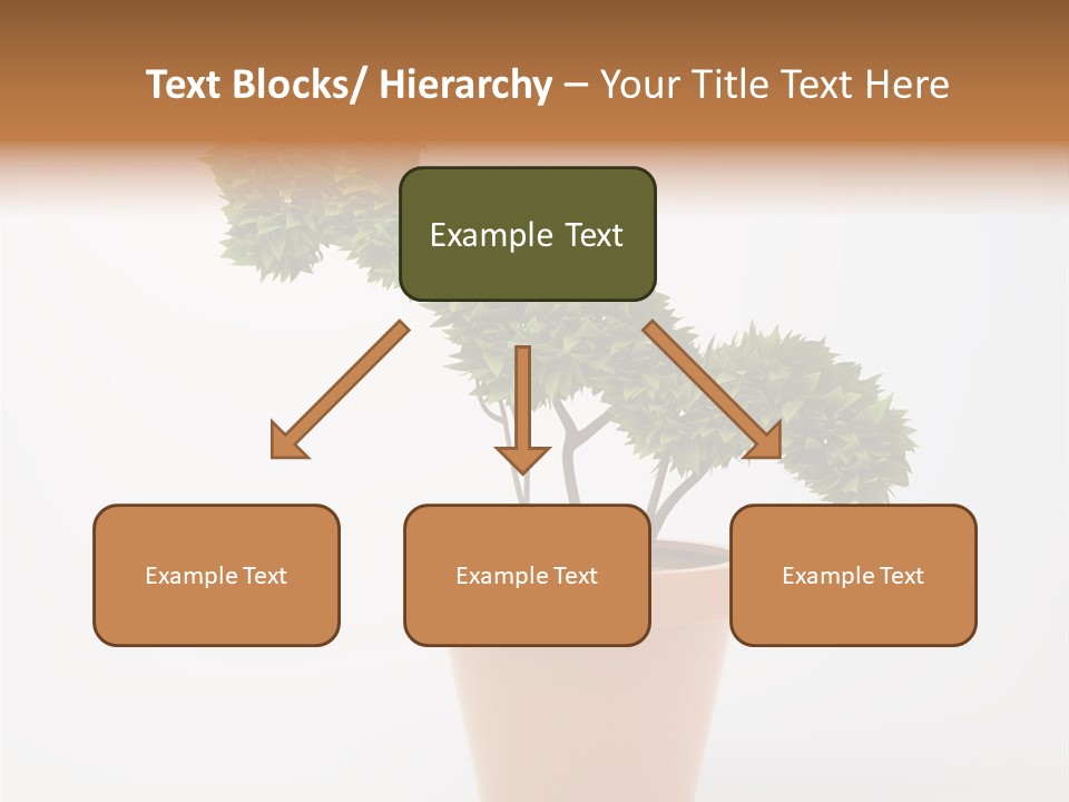 Protection Money Ecology PowerPoint Template