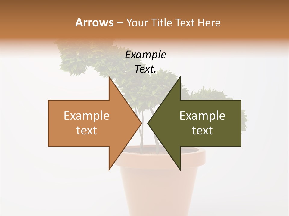 Protection Money Ecology PowerPoint Template