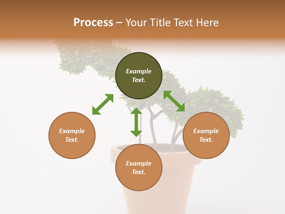 Protection Money Ecology PowerPoint Template