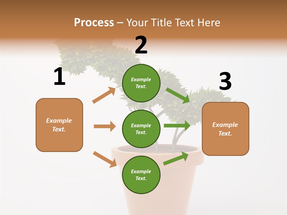 Protection Money Ecology PowerPoint Template