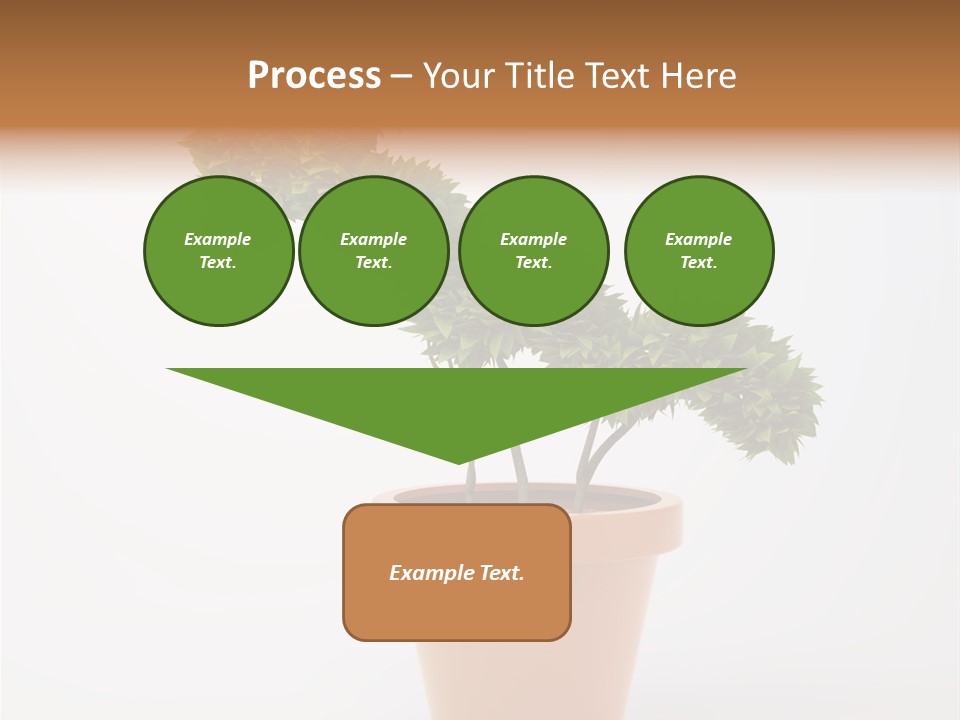 Protection Money Ecology PowerPoint Template