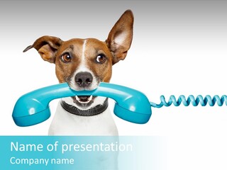 Tone Ear Business PowerPoint Template