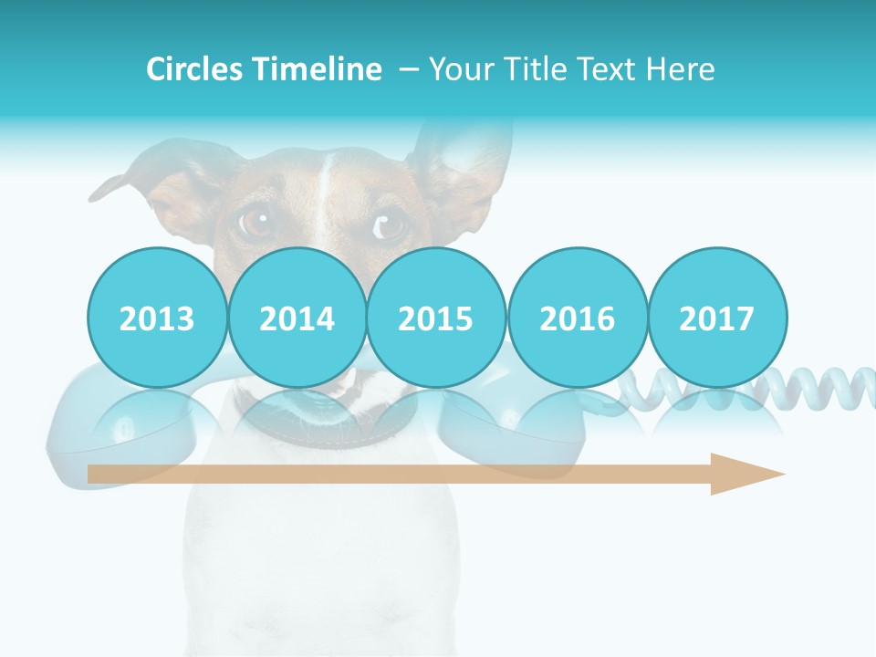 Tone Ear Business PowerPoint Template