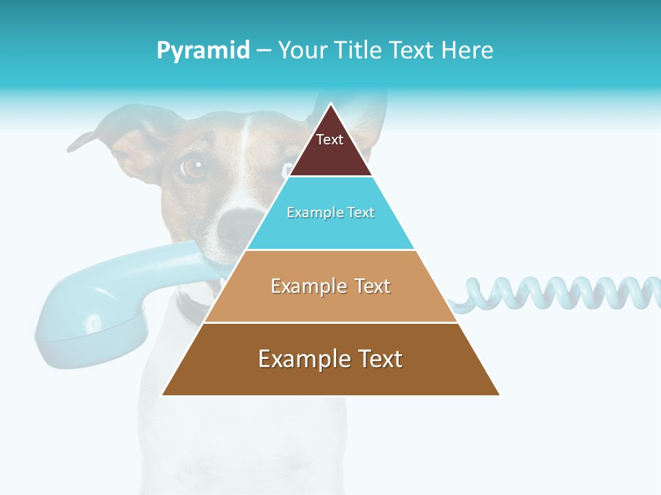 Tone Ear Business PowerPoint Template