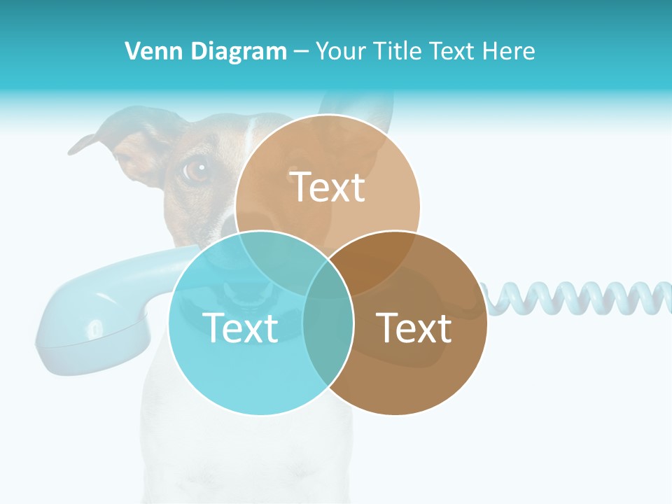 Tone Ear Business PowerPoint Template