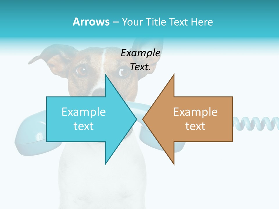 Tone Ear Business PowerPoint Template