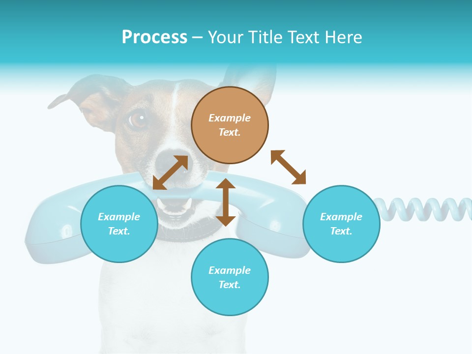 Tone Ear Business PowerPoint Template