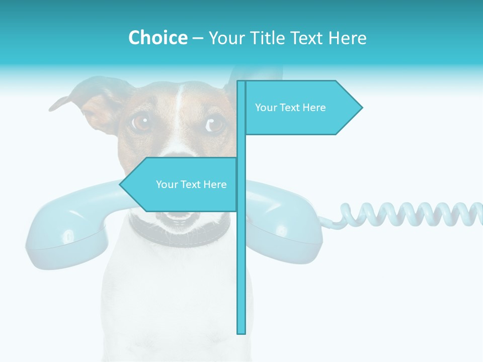 Tone Ear Business PowerPoint Template