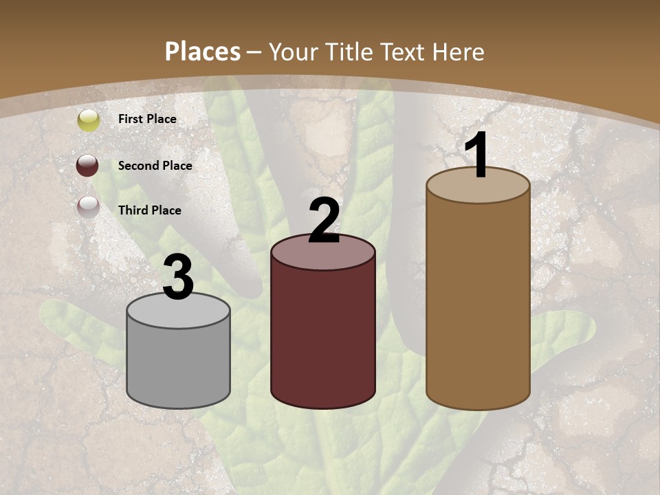Gravity Warning Science PowerPoint Template