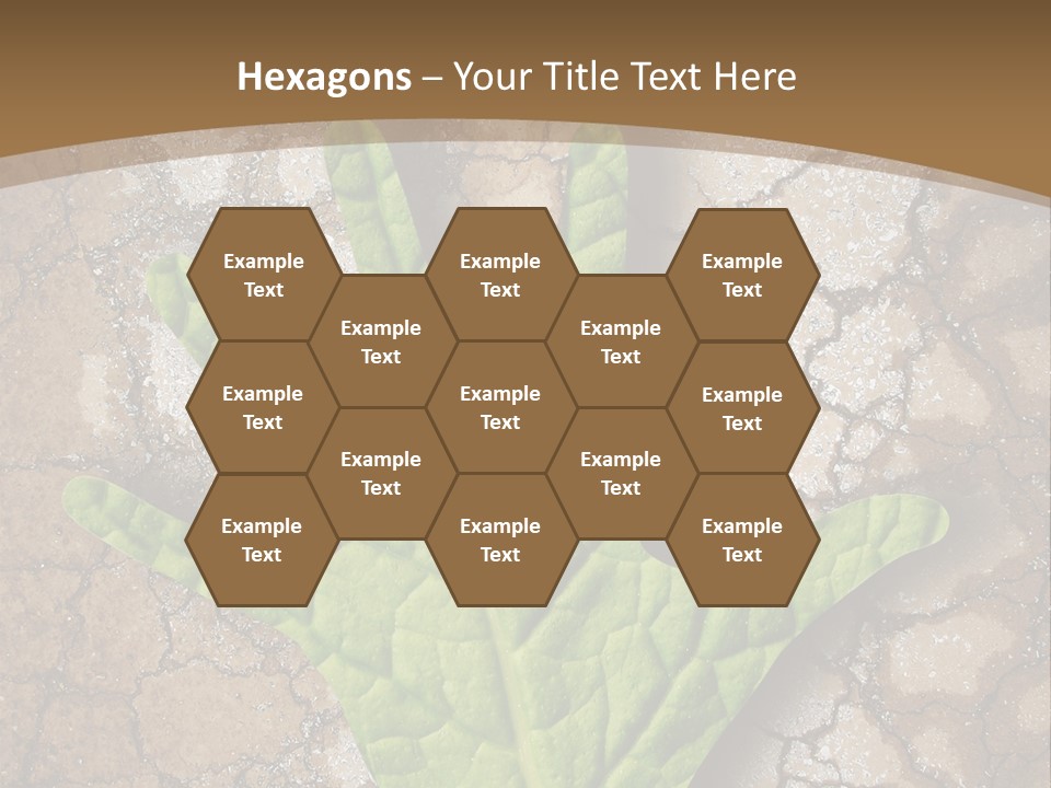 Gravity Warning Science PowerPoint Template