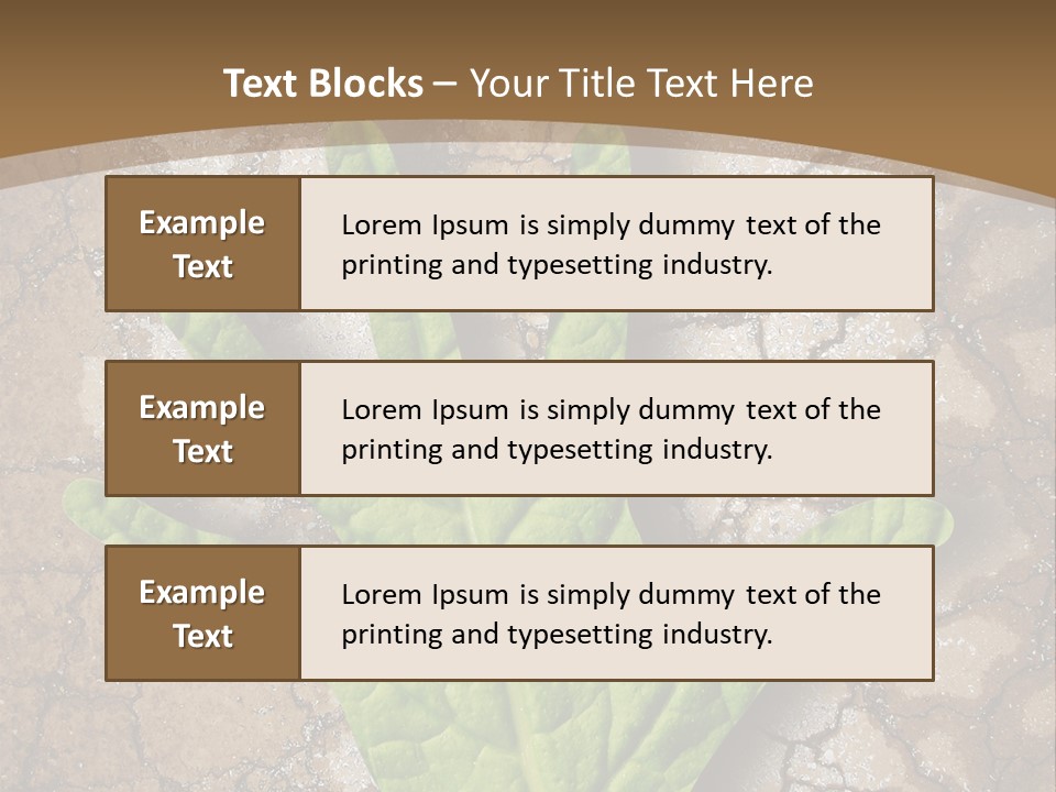Gravity Warning Science PowerPoint Template