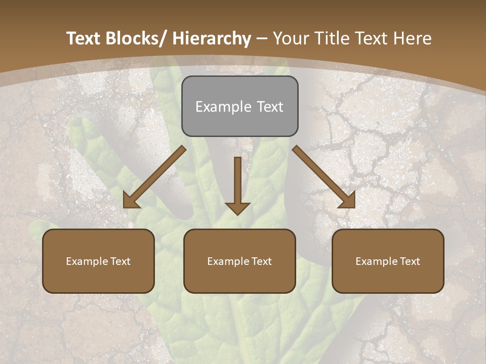 Gravity Warning Science PowerPoint Template