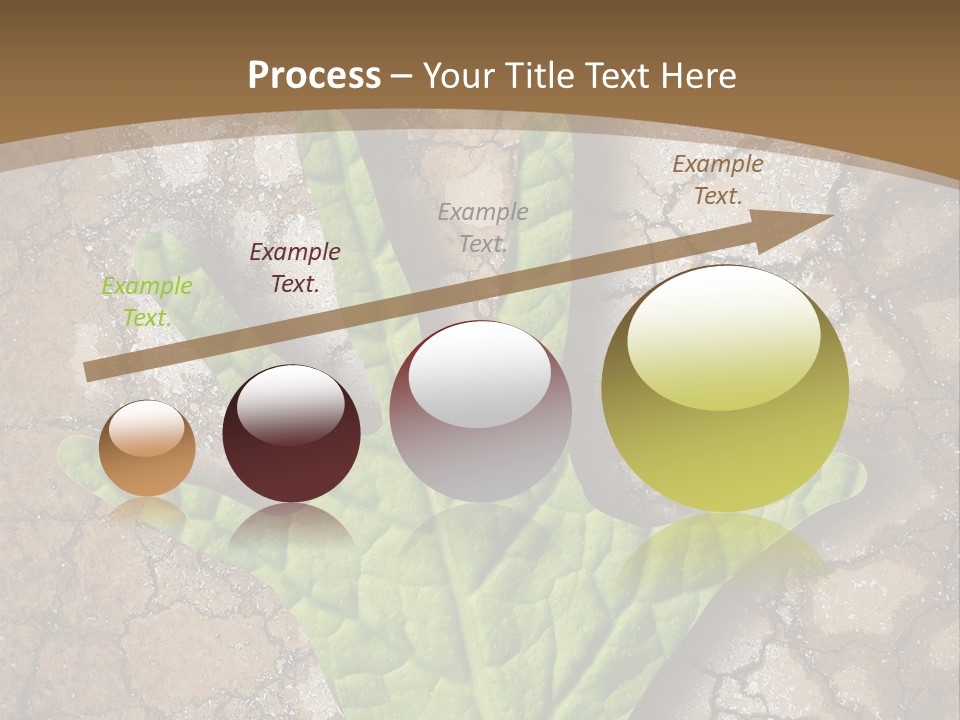 Gravity Warning Science PowerPoint Template