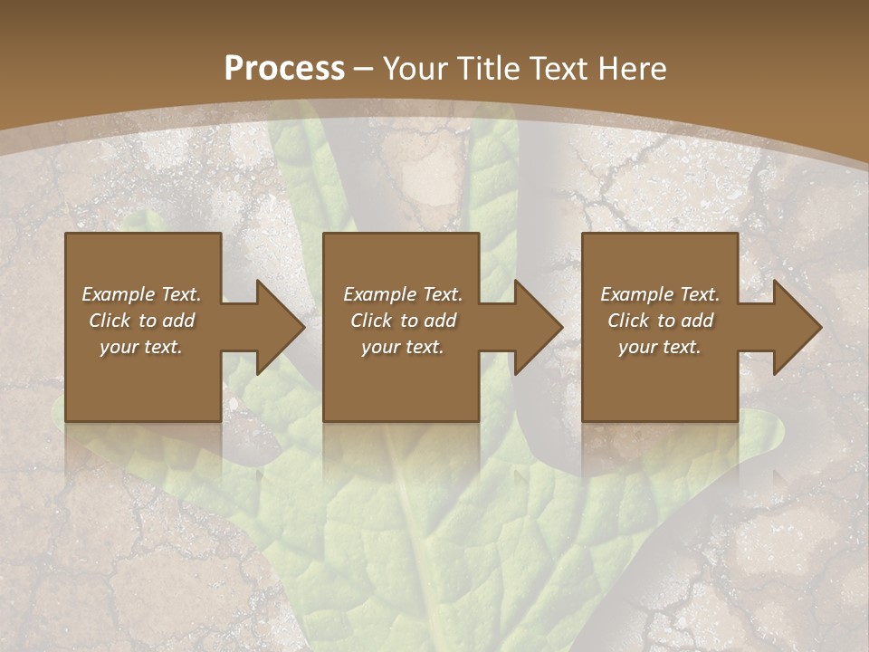 Gravity Warning Science PowerPoint Template