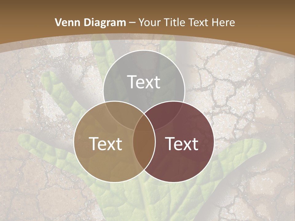 Gravity Warning Science PowerPoint Template