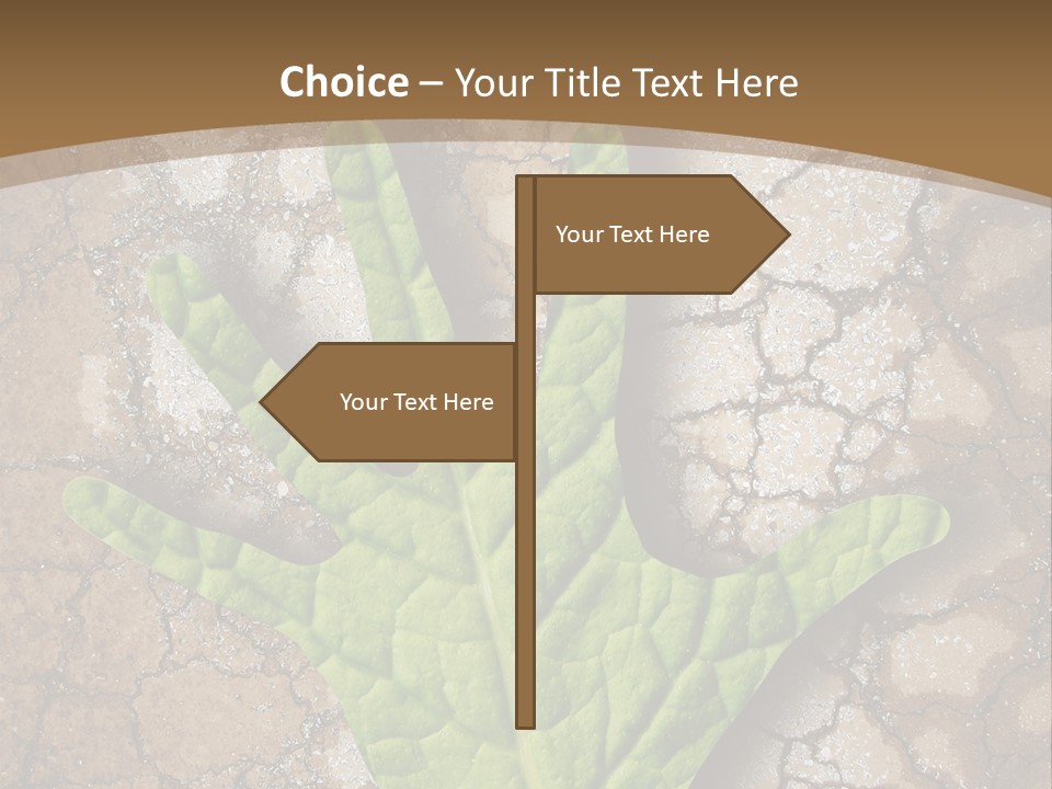Gravity Warning Science PowerPoint Template