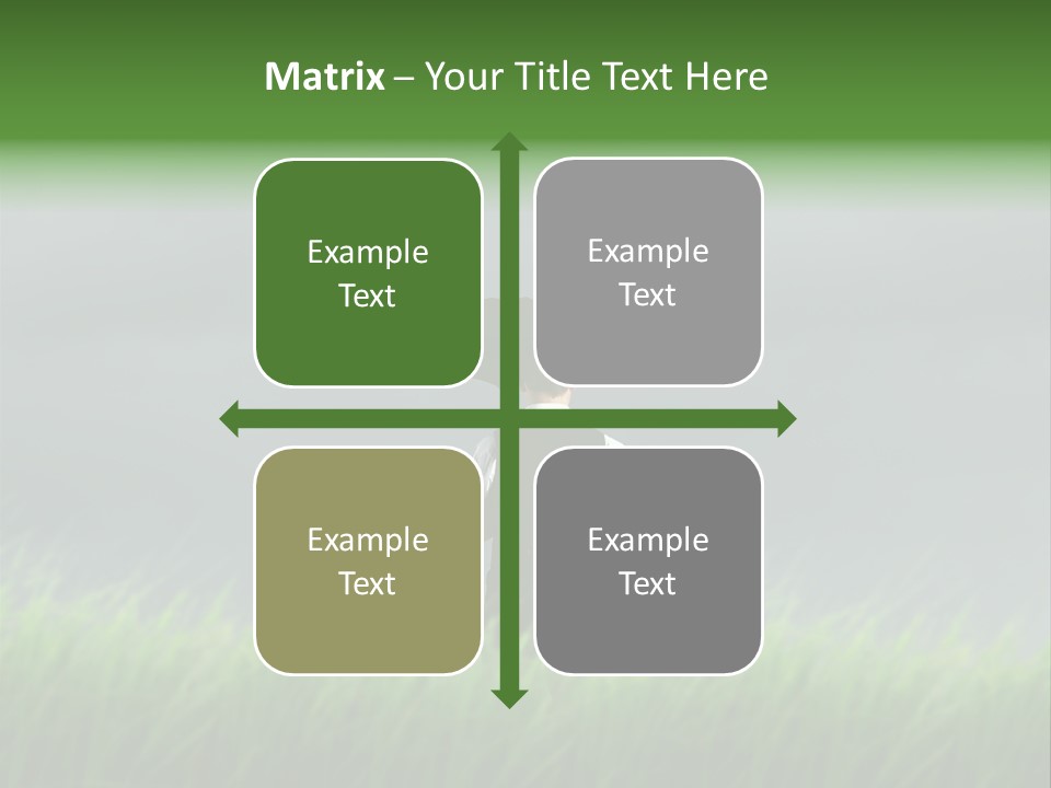 A Man Standing In A Field Holding An Umbrella PowerPoint Template