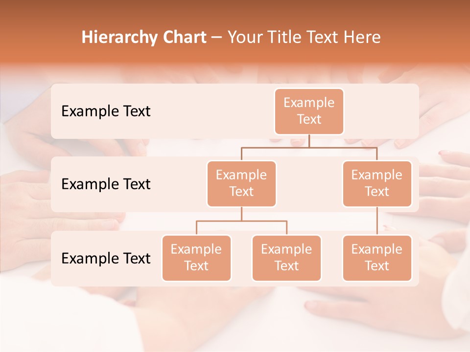 Young  Business Business Person PowerPoint Template