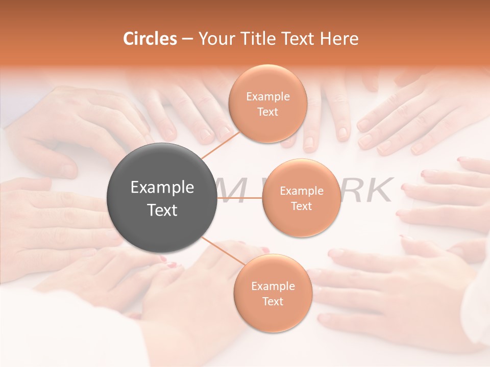 Young  Business Business Person PowerPoint Template