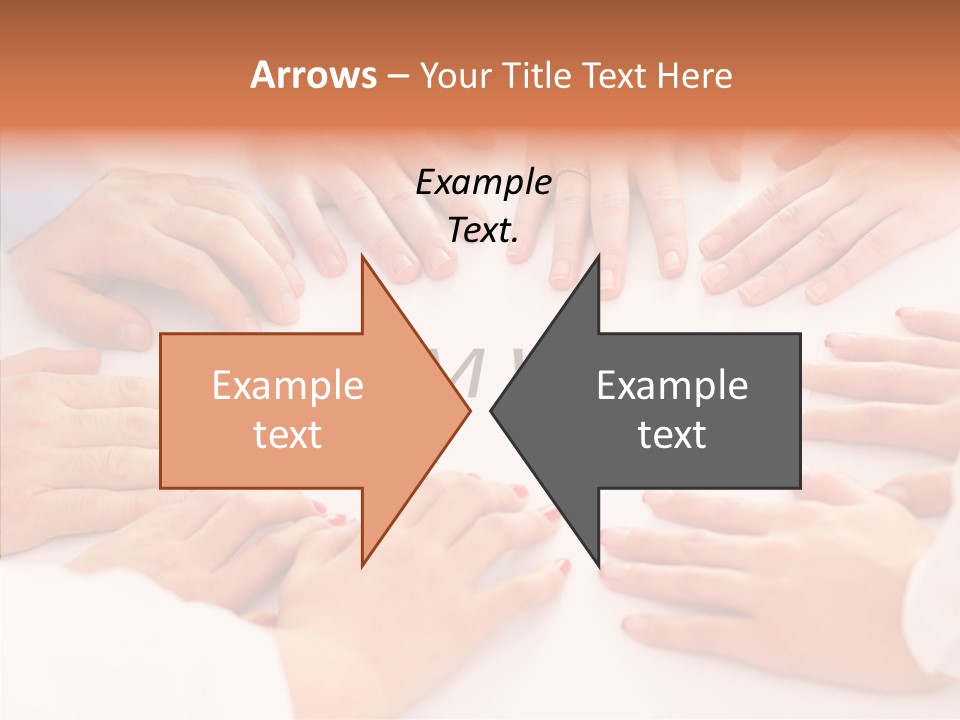 Young  Business Business Person PowerPoint Template