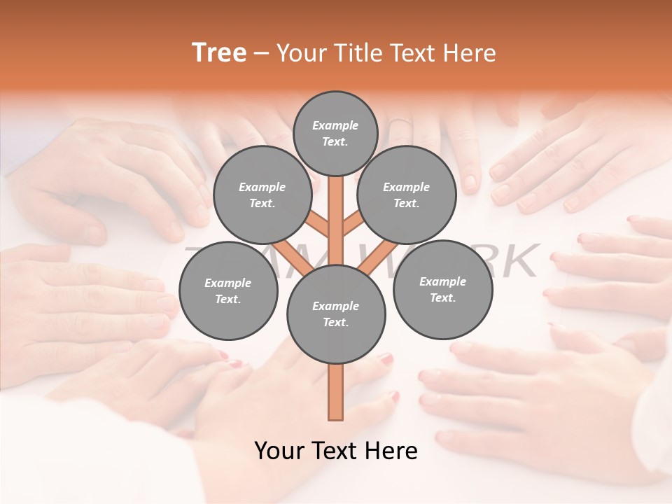 Young  Business Business Person PowerPoint Template