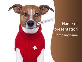 Surgery Emergency Veterinarian PowerPoint Template