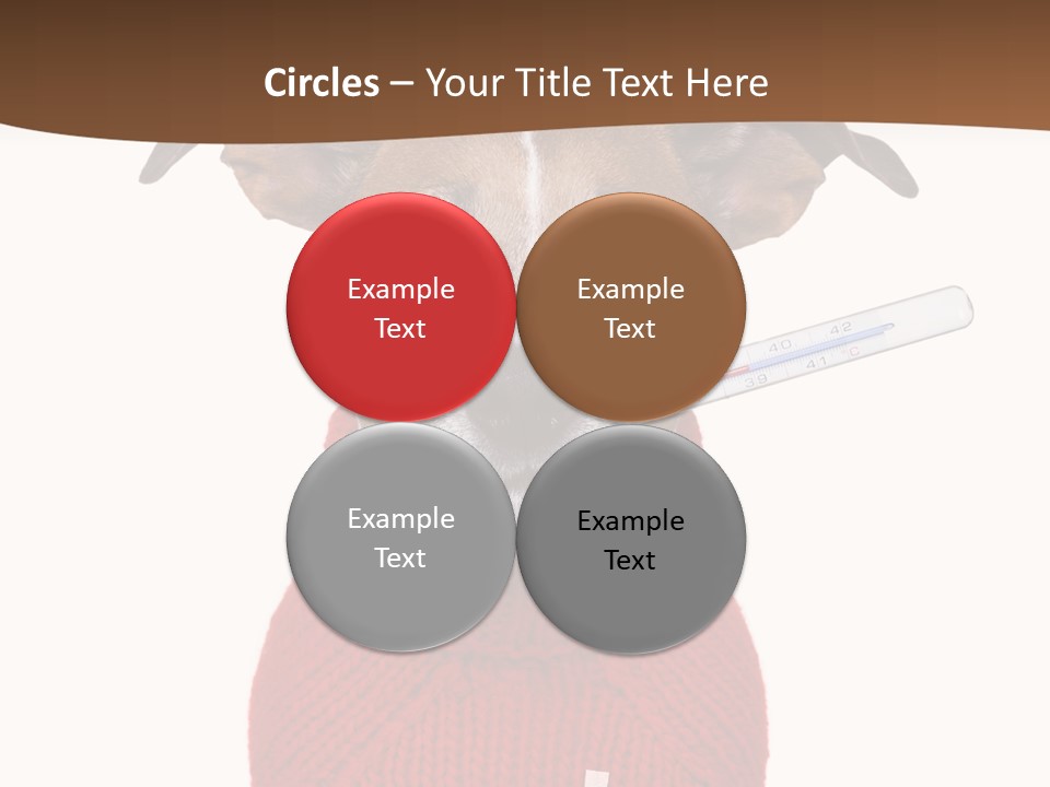 Surgery Emergency Veterinarian PowerPoint Template